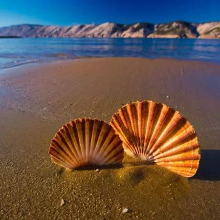 In With Balcony, Air Conditioning, Wifi 87-3 Apartment